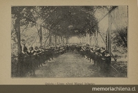 Pie de Foto: Alumnas del Liceo de Señoritas "José Miguel Infante", 1926.