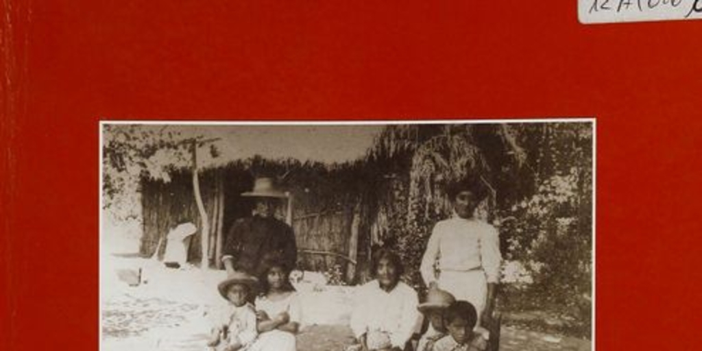 "Los hijos de la Providencia: el abandono como circulación en el Chile decimonónico", en Revista de historia social y de las mentalidades, Santiago, Nº5, invierno 2001,