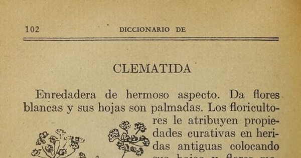 Pie de foto: Sobre la infusión de la raíz de Copihue, 1933. Urquieta Santander, Carlos. Diccionario de medicación herbaria: la botica en el jardín. Santiago: Nascimento, 1933