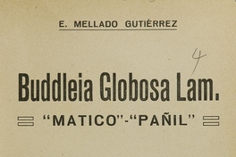 Buddleia globosa lam: "matico" - "Pañil". Santiago: [s.n.], (Santiago: Cisneros), 1923