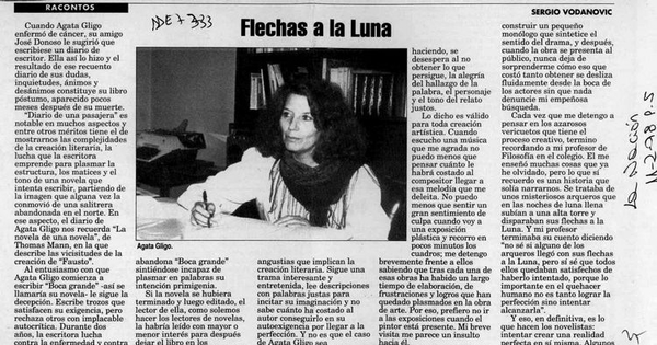 Flechas a la luna