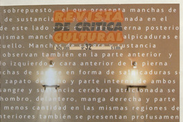 Revista de crítica cultural. Número 32, noviembre de 2005