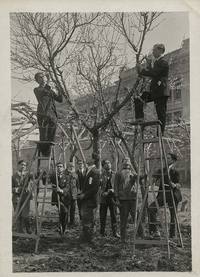 Pie de foto: Actividad de normalistas (normalistas en clases), hacia 1940.