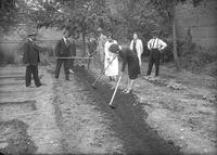 Pie de foto: Grupo de hombres y mujeres trabajando en un huerto en San Bernardo, 1925