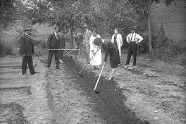 Pie de foto: Grupo de hombres y mujeres trabajando en un huerto en San Bernardo, 1925