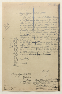 [Decreto de compra de catálogo de D. M. Salas].[manuscrito]