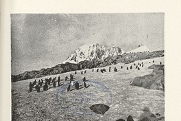 Pie de imagen: Pingüinos papúa de la AntárticaFuente: Mann Fischer, Guillermo. Biología de la Antártica Sudamericana: estudios realizados durante la Expedición Antártica Chilena. Santiago de Chile: Impr. Universitaria, 1948. 364 p. Lámina XII ("Dos aspectos de las agrupaciones en "Kindergarten" del pingüino papúa"), ubicada entre las páginas 86 y 87.
