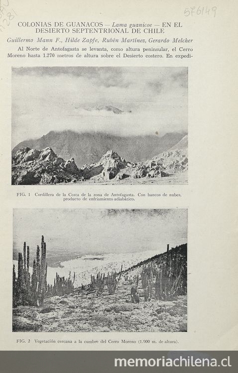 Colonias de guanacos en el desierto septentrional de Chile. [Santiago]: Centro de Investigaciones Zoológicas de la Universidad de Chile, [195-]. 3 p.