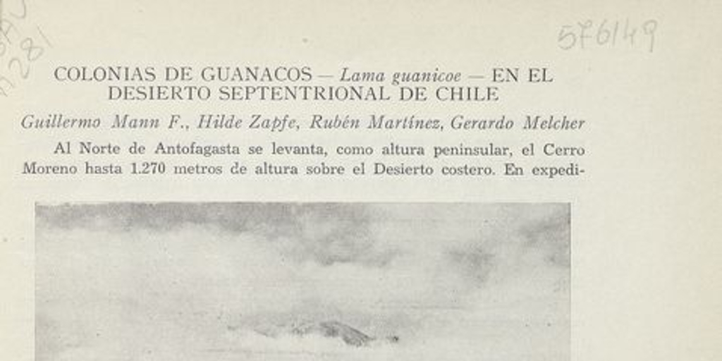 Colonias de guanacos en el desierto septentrional de Chile. [Santiago]: Centro de Investigaciones Zoológicas de la Universidad de Chile, [195-]. 3 p.