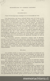 Neurobiología de Desmodus rotundus. [Santiago, Chile]: Centro de Investigaciones Zoológicas de la Universidad de Chile, [19--?]. 1 v. 19 p.