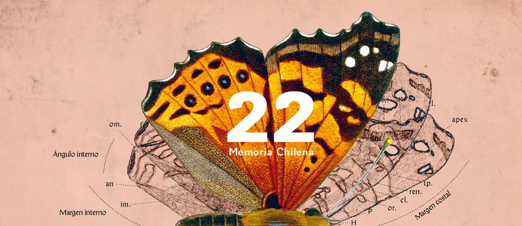 Gráfica para el 22° aniversario de Memoria Chilena