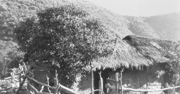 Rancho con techo de paja, hacia 1950