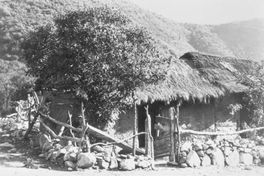 Rancho con techo de paja, hacia 1950