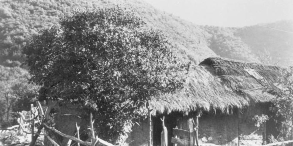 Rancho con techo de paja, hacia 1950