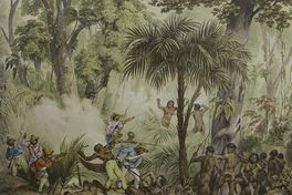 Guerrillas. Brasil, siglo XIX