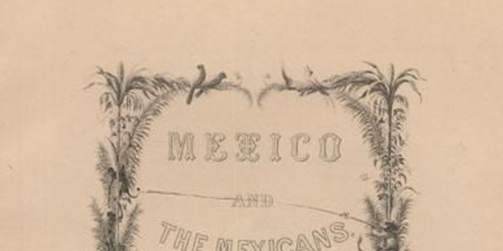 Portada de México: Paisajes y cuadros populares