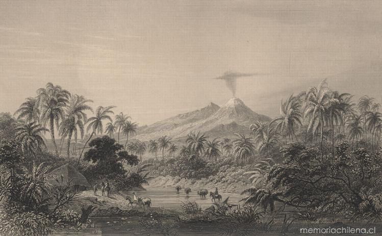 Vegetation of the westcoast, Palm-wood and volcano of Colima