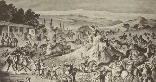Trilla, ca. 1855