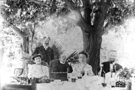 Almuerzo al aire libre, 1904