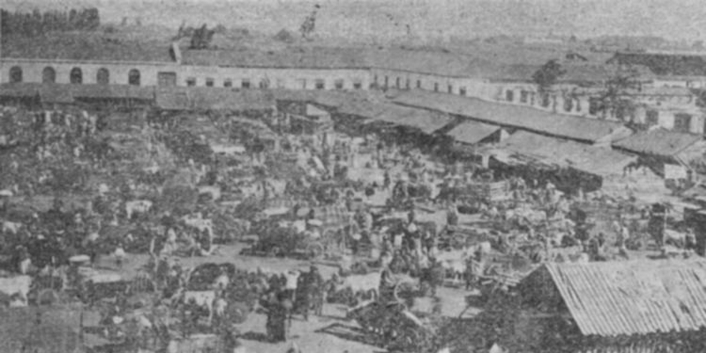 Feria de productos agrícolas, Chillán, 1903