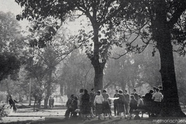 Parque del Instituto Pedagógico, actual Universidad Metropolitana de Ciencias de la Educación, 1977