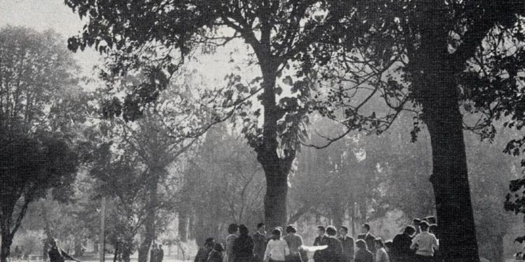 Parque del Instituto Pedagógico, actual Universidad Metropolitana de Ciencias de la Educación, 1977