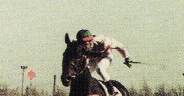 Wolf, 1987