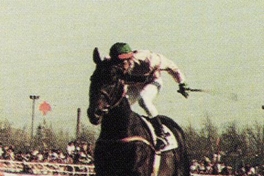 Wolf, 1987