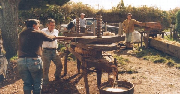 Chicha de manzana, con prensa de madera, Chiloé, 1997