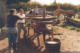 Chicha de manzana, con prensa de madera, Chiloé, 1997