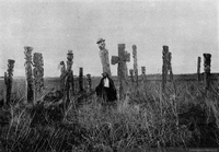 Cementerio mapuche