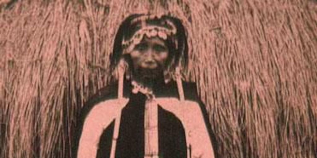 Mujer mapuche