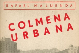 Colmena urbana