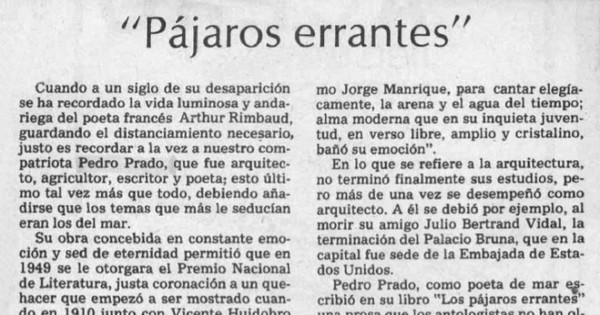 Pájaros errantes