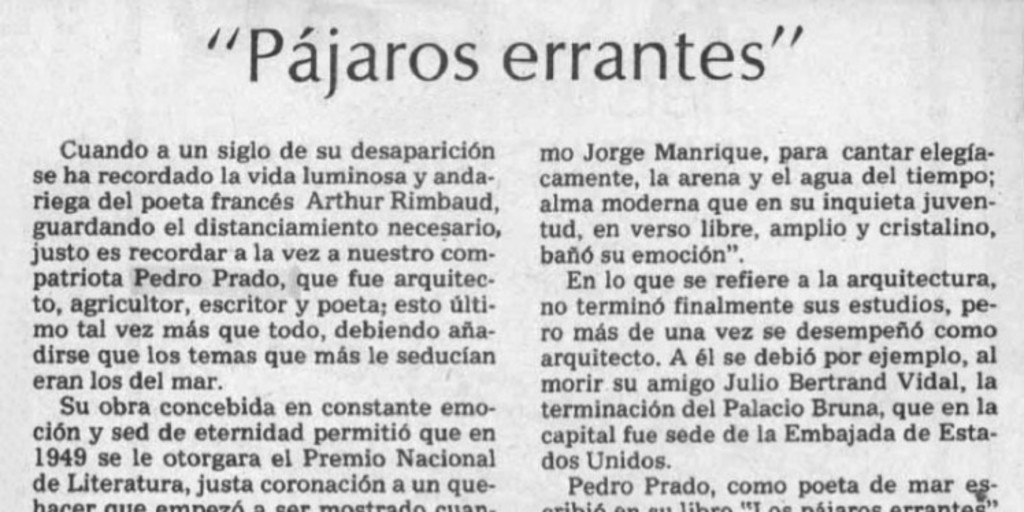 Pájaros errantes