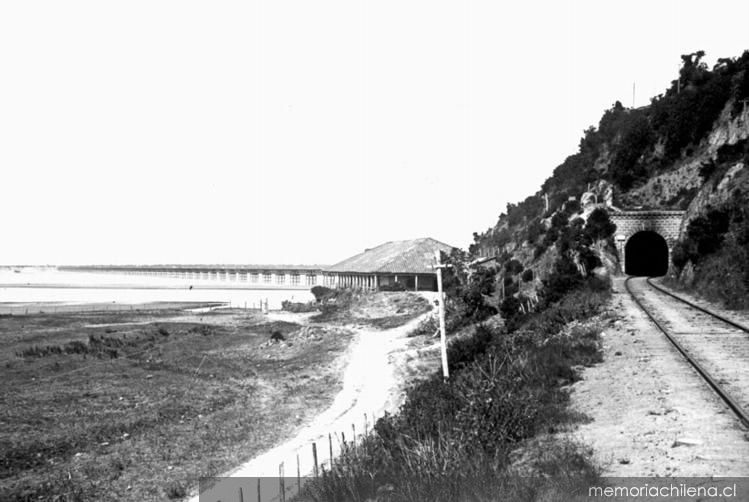 Puente del río Bío-Bío, construido en la década de 1880