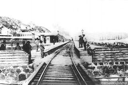 Estación Matadero ubicada entre Valparaíso y Viña del Mar, ca. 1900