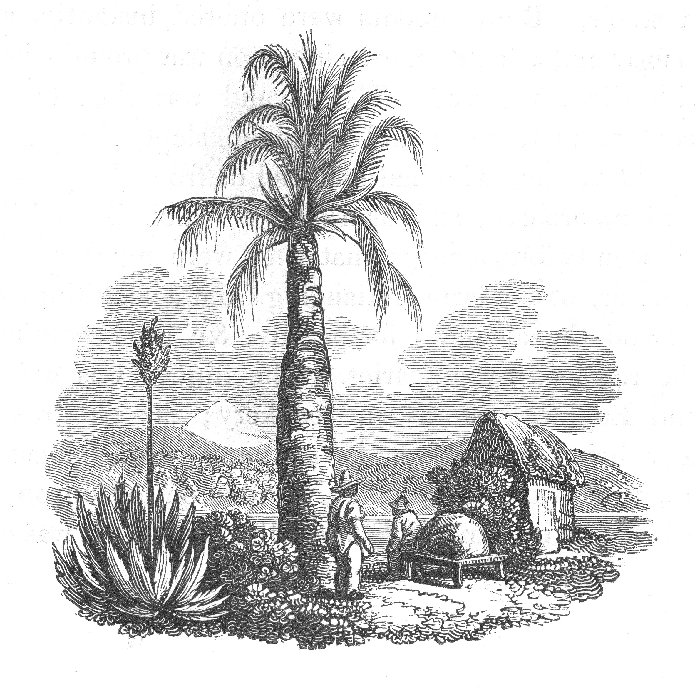 Horno de barro, zona central, 1822