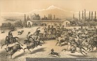 Matanza de ganado, siglo XIX
