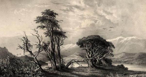 Rives du Bío-Bío a six milles de Concepción, 1838