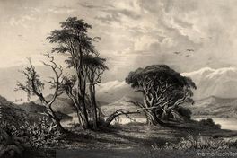 Rives du Bío-Bío a six milles de Concepción, 1838