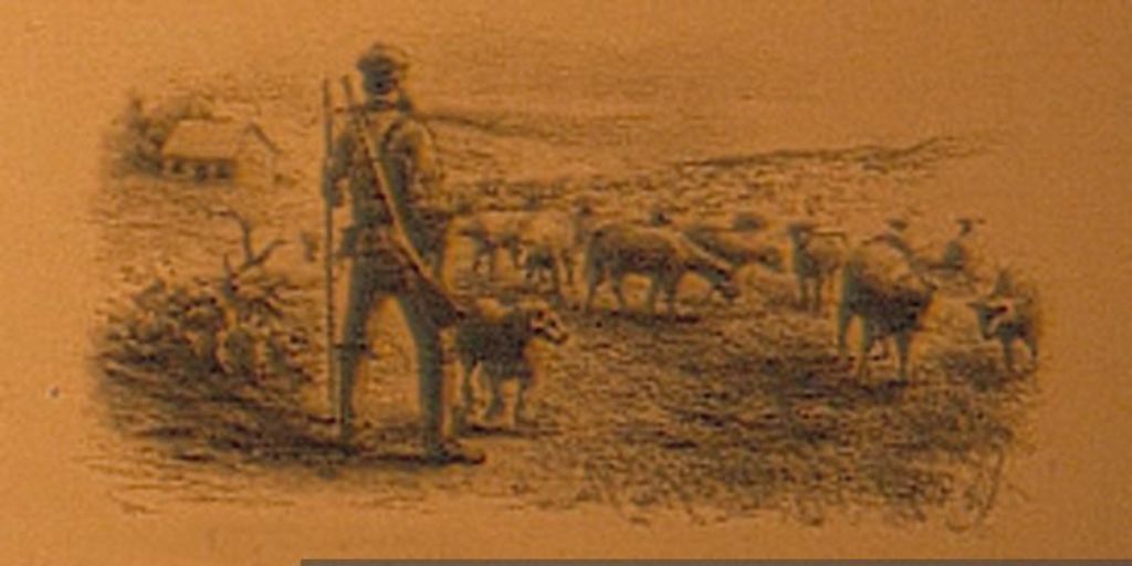 Rebaño de ovejas en Tierra del Fuego, hacia 1894