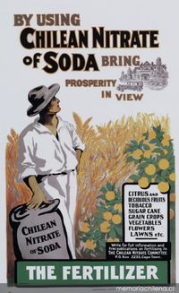 Afiche de Sud África, 1912