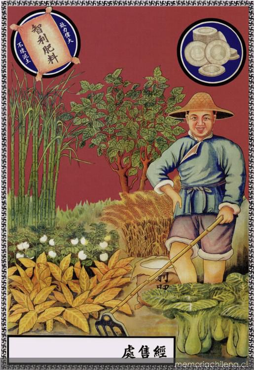 Afiche de China