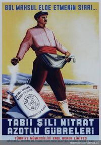 Afiche de Turquía, 1949