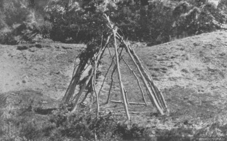 Armazón de cabaña familiar yámana, hacia 1920