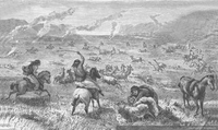 Caza de guanacos y ñandúes, hacia 1870