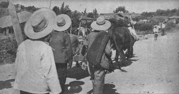 Campesinos conduciendo a un muerto en una carreta, Chillán, 1939