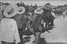 Campesinos conduciendo a un muerto en una carreta, Chillán, 1939