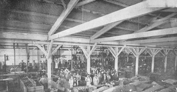 Taller de embotelladura y pasteurización de la Compañía Cervecerías Unidas, Santiago, 1902